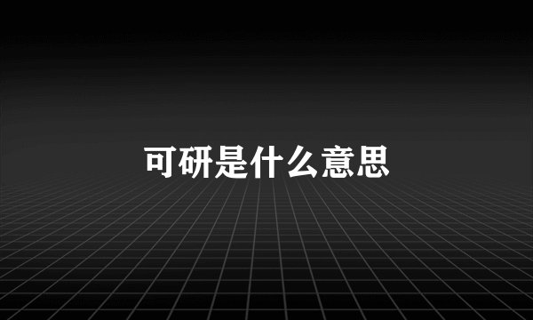 可研是什么意思