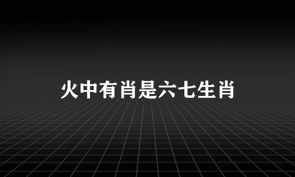 火中有肖是六七生肖