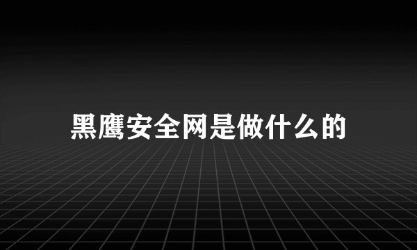 黑鹰安全网是做什么的