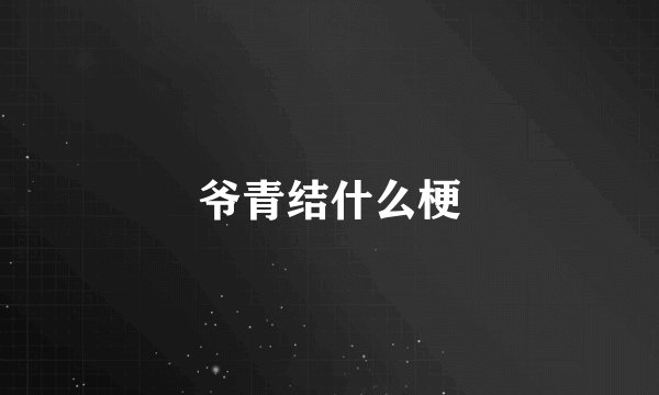 爷青结什么梗