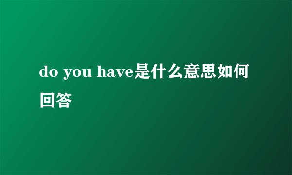 do you have是什么意思如何回答