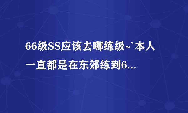 66级SS应该去哪练级~`本人一直都是在东郊练到66级的,那的怪