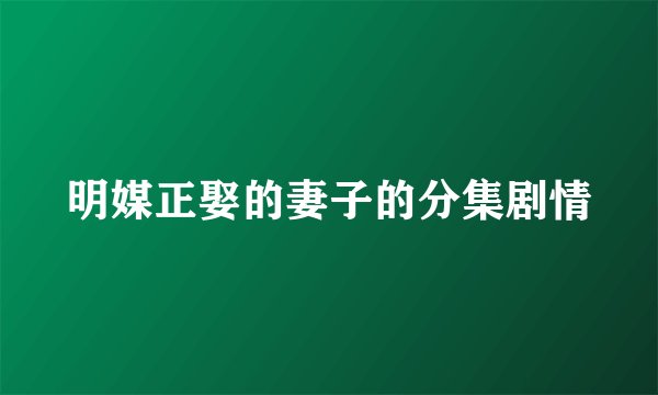 明媒正娶的妻子的分集剧情
