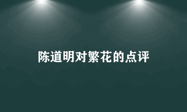 陈道明对繁花的点评