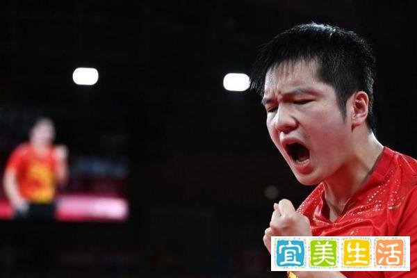 国乒给力！国际乒联最新排名：樊振东男单世界第一，陈梦女单第一