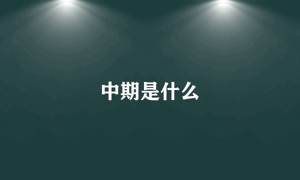 中期是什么