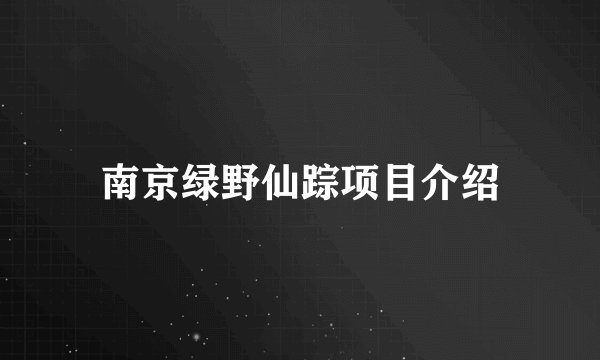 南京绿野仙踪项目介绍