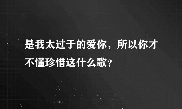 是我太过于的爱你，所以你才不懂珍惜这什么歌？