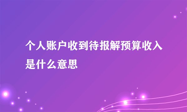 个人账户收到待报解预算收入是什么意思