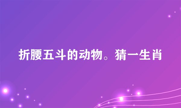 折腰五斗的动物。猜一生肖