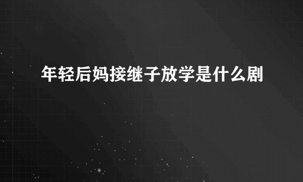 年轻后妈接继子放学是什么剧