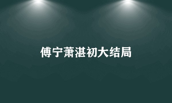 傅宁萧湛初大结局