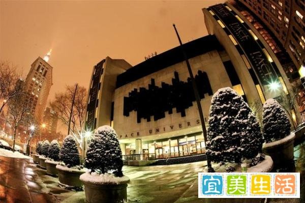 纽约有一条街---叫华尔街!