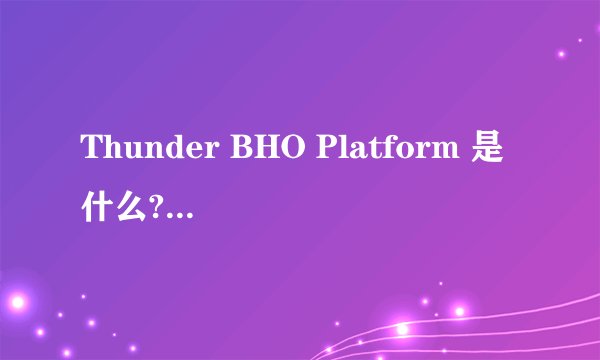 Thunder BHO Platform 是什么?有简介吗?