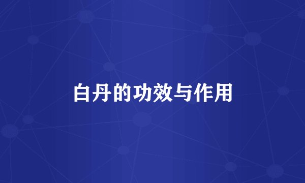 白丹的功效与作用