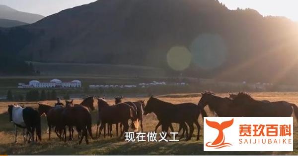 95后大厂女生裸辞住进养老院做义工，目标之一是开一家养老院！