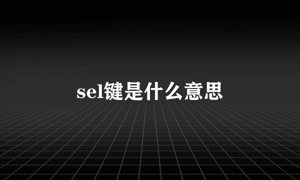 sel键是什么意思