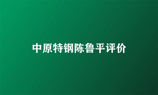中原特钢陈鲁平评价