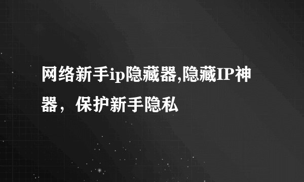 网络新手ip隐藏器,隐藏IP神器，保护新手隐私