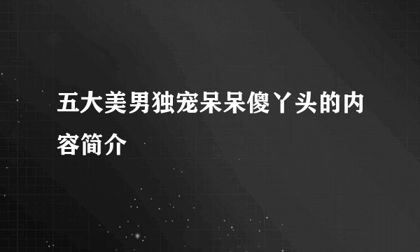 五大美男独宠呆呆傻丫头的内容简介