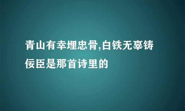 青山有幸埋忠骨,白铁无辜铸佞臣是那首诗里的
