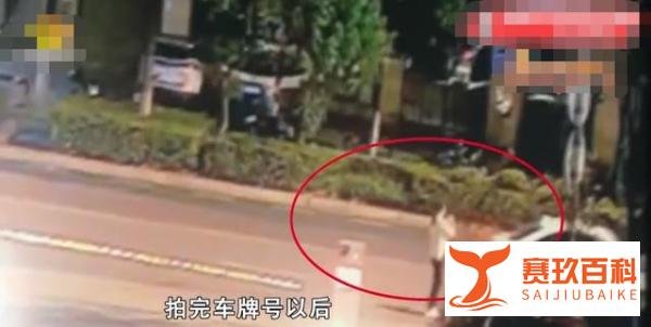女子因取消订单遭网约车司机掌掴 这是咋情况？