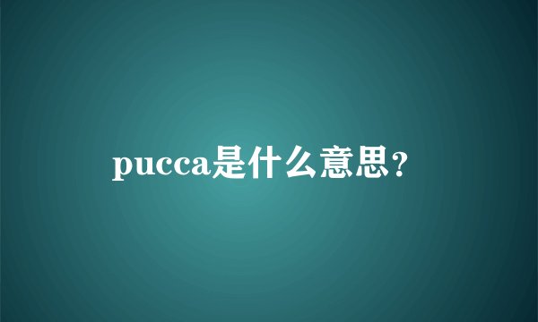 pucca是什么意思？