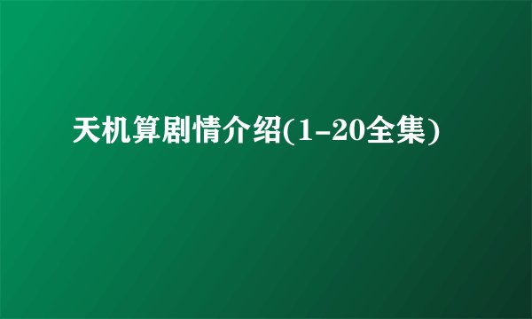 天机算剧情介绍(1-20全集)