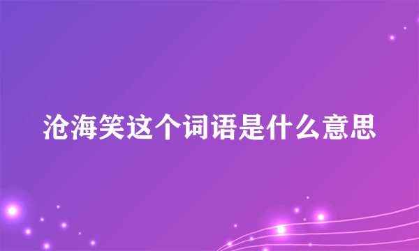沧海笑这个词语是什么意思