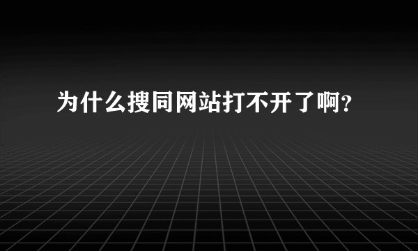 为什么搜同网站打不开了啊？