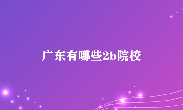 广东有哪些2b院校