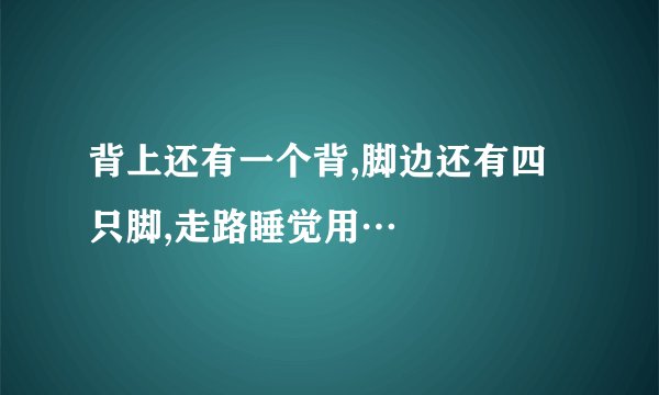 背上还有一个背,脚边还有四只脚,走路睡觉用…