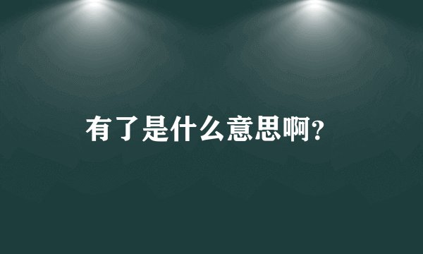 有了是什么意思啊?