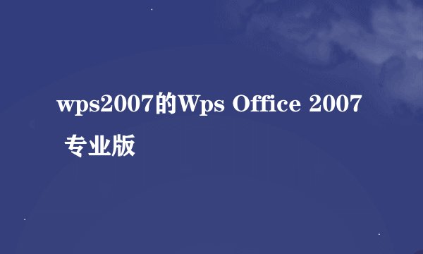 wps2007的Wps Office 2007 专业版