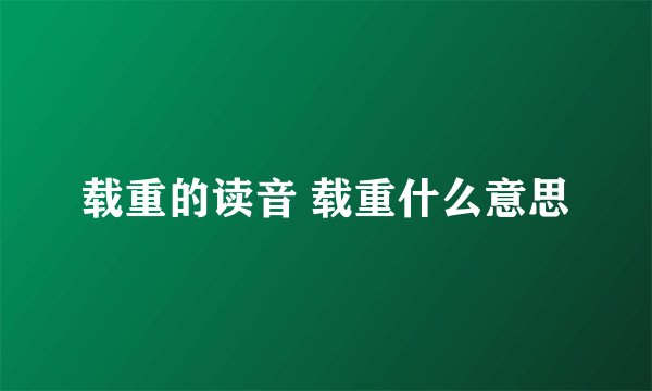 载重的读音 载重什么意思