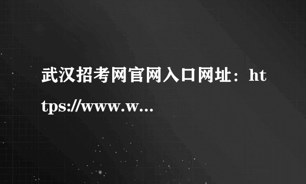 武汉招考网官网入口网址：https://www.whzkb.cn/