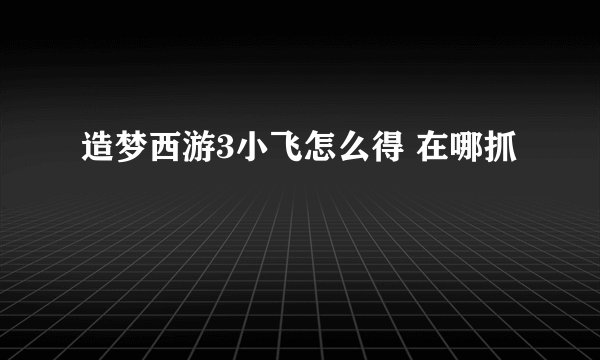 造梦西游3小飞怎么得 在哪抓