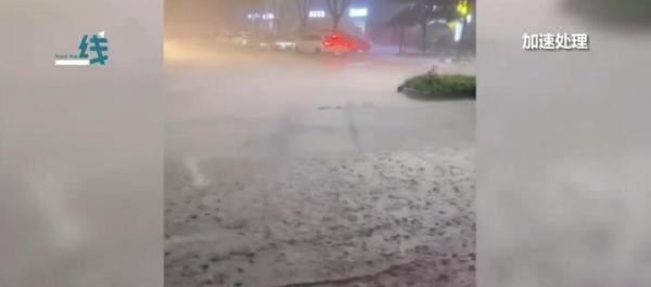 实拍四川暴雨:大鱼游上街头乱窜 这是咋情况？