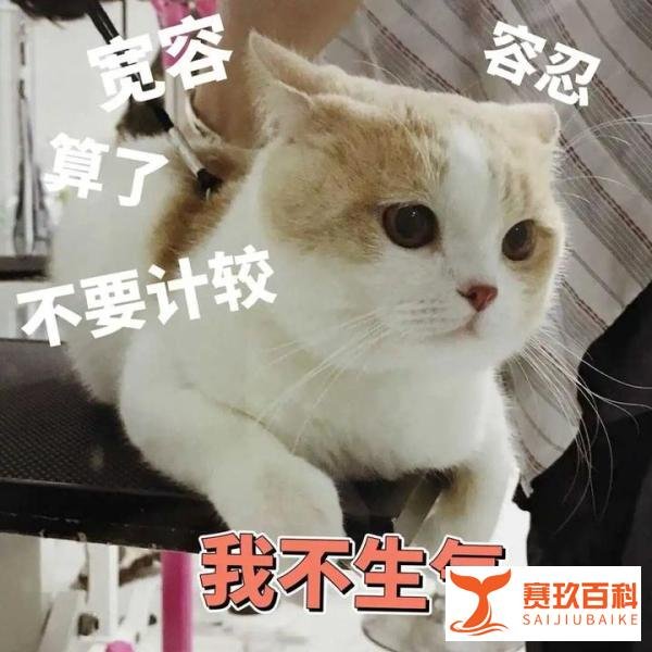 苹果发布 iOS16 Beta6 测试版系统,电量百分比又有新变化!