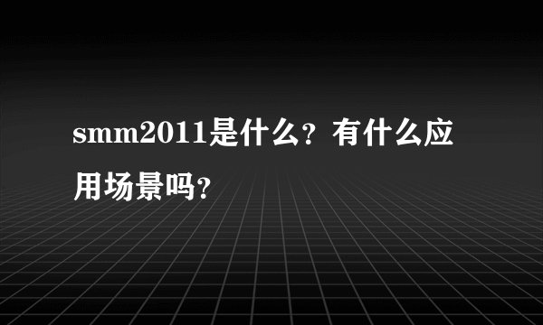 smm2011是什么？有什么应用场景吗？
