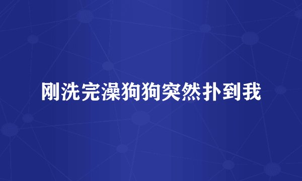 刚洗完澡狗狗突然扑到我