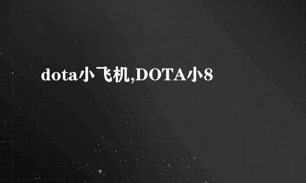 dota小飞机,DOTA小8