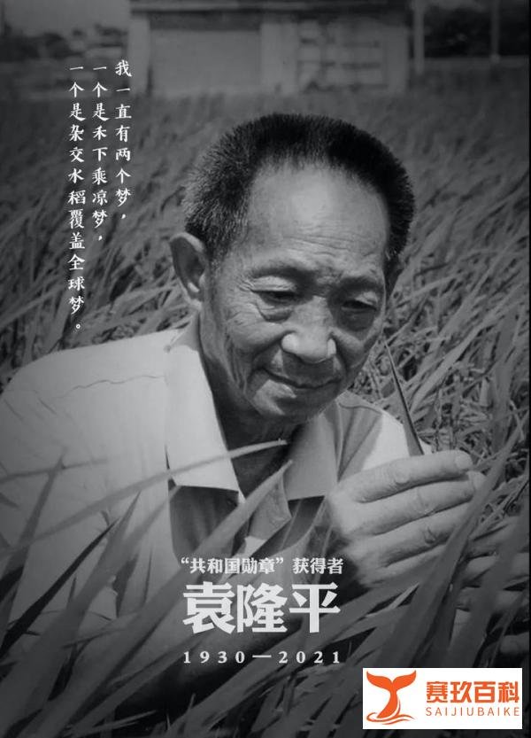 为什么袁隆平去世半年后才下葬