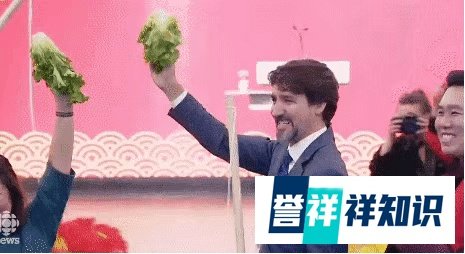 疫情下的加拿大：不限制中国人入境！而澳洲具体政策部署中…