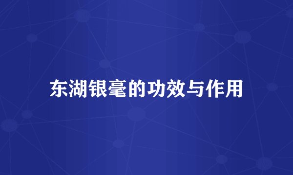 东湖银毫的功效与作用