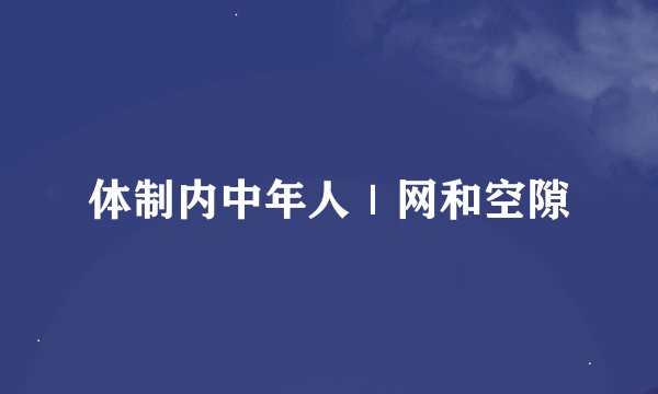 体制内中年人｜网和空隙