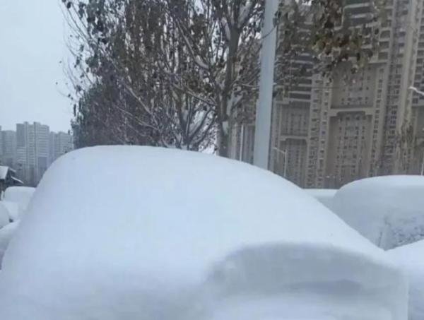 百年未遇！袭击东北的这场特大暴风雪，到底极端到了什么程度