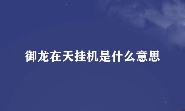 御龙在天挂机是什么意思