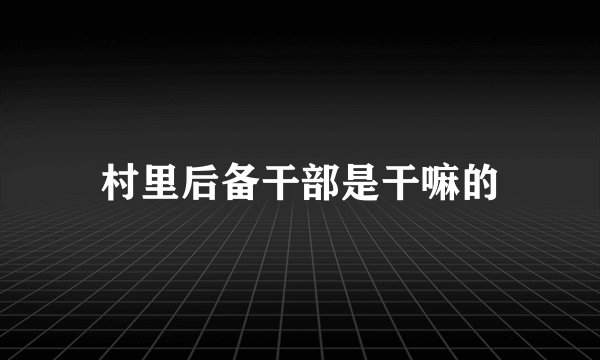 村里后备干部是干嘛的