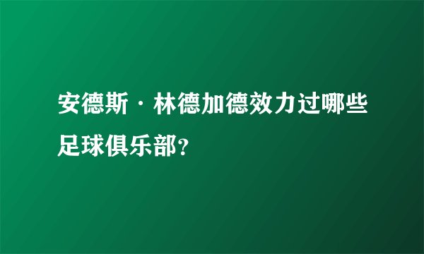 安德斯·林德加德效力过哪些足球俱乐部？